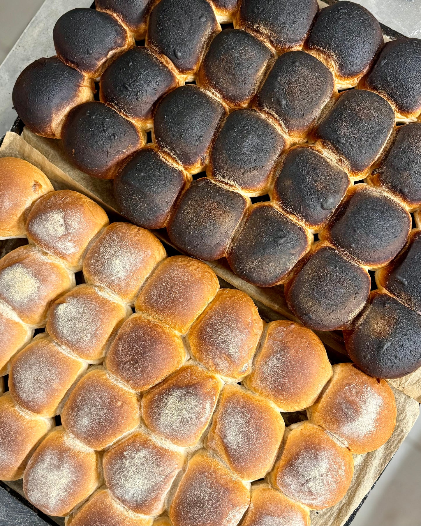 Morning Rolls